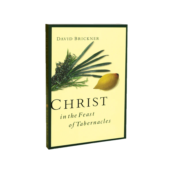 David Brickner’s Bundle