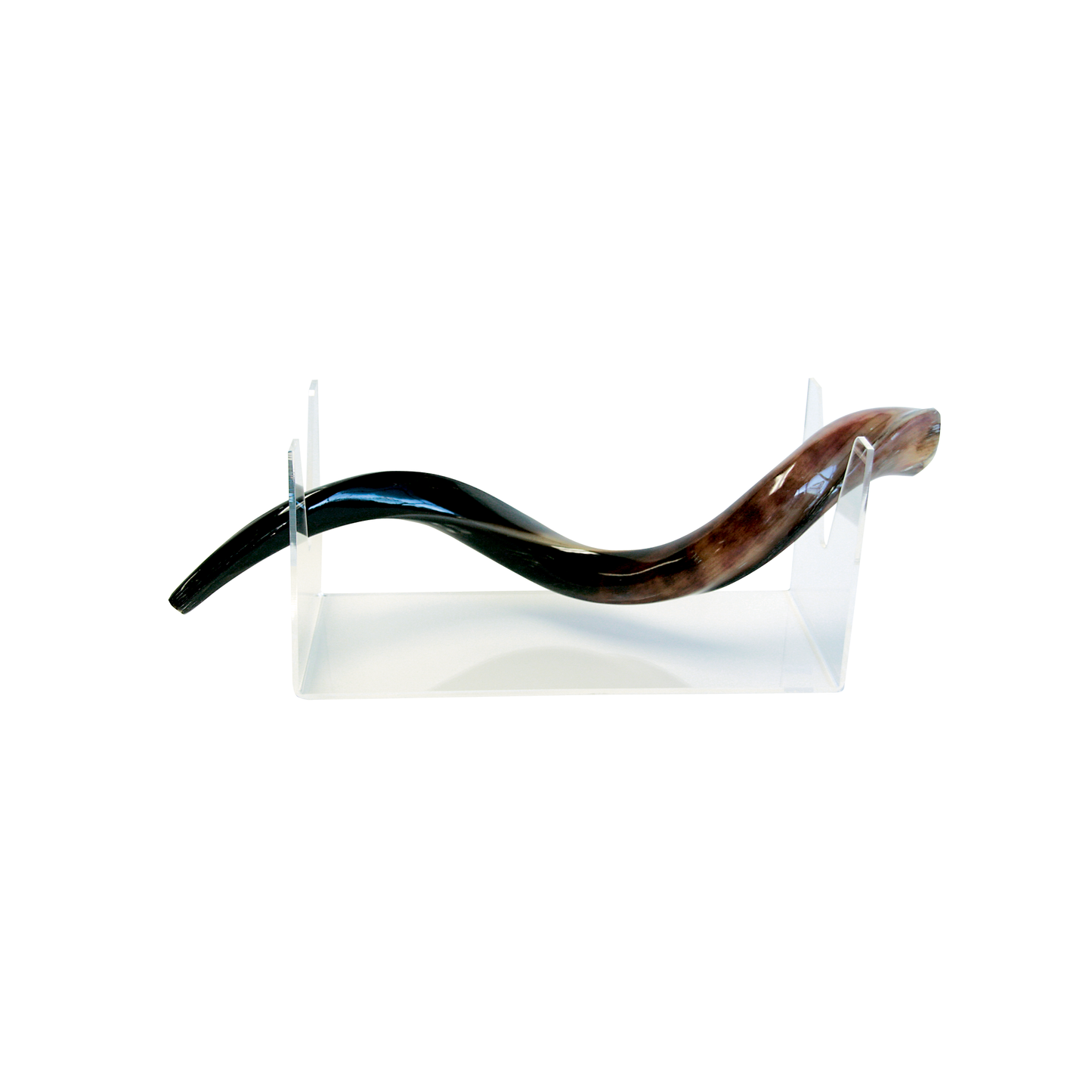 Small Yemenite Shofar