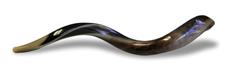 Small Yemenite Shofar