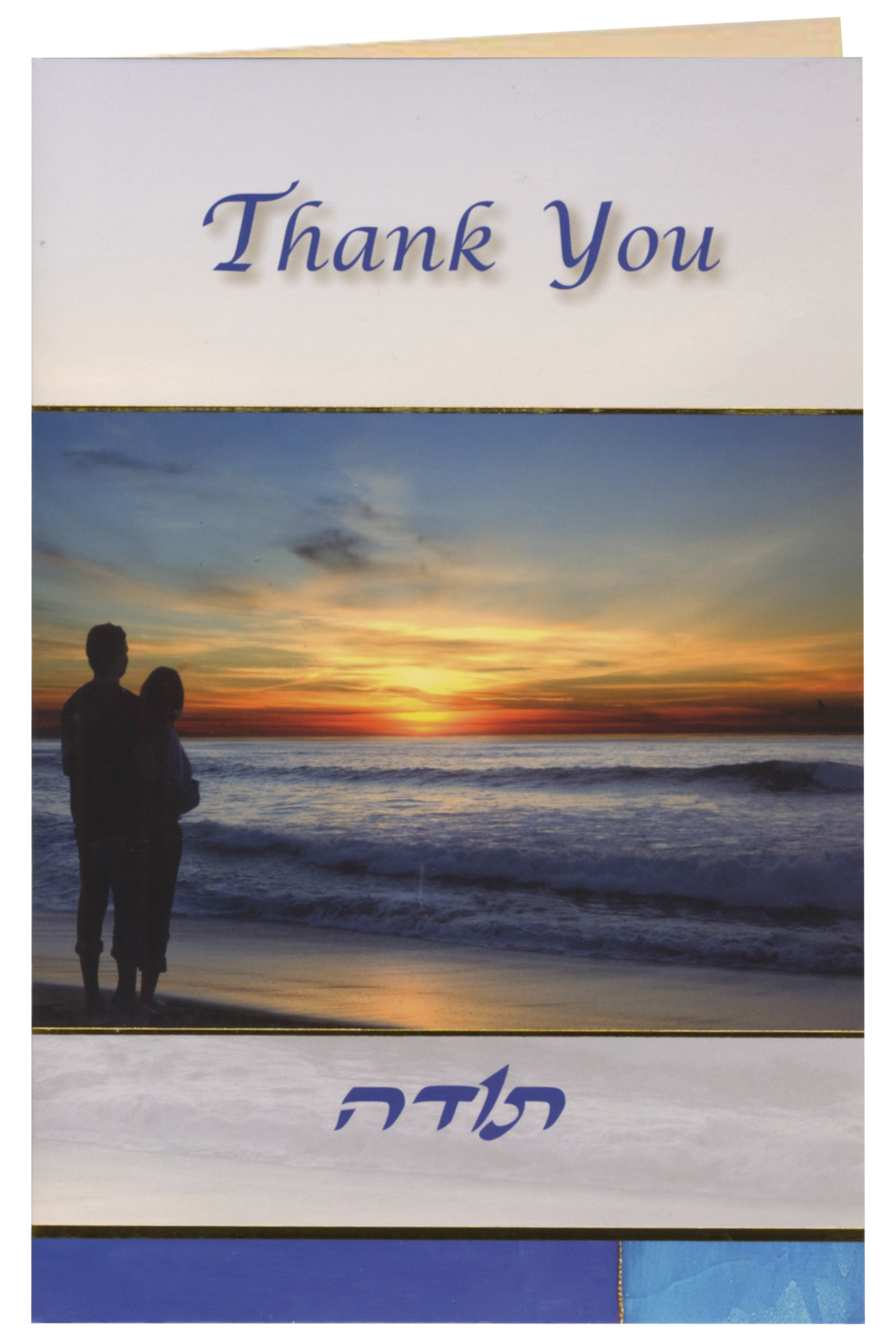 Thank you - 6 Pack