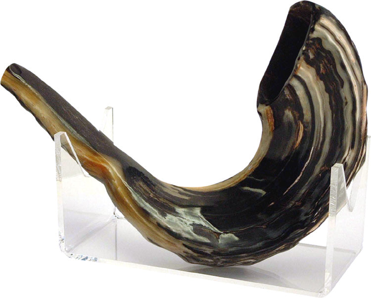 Ram's Horn Shofar - Small