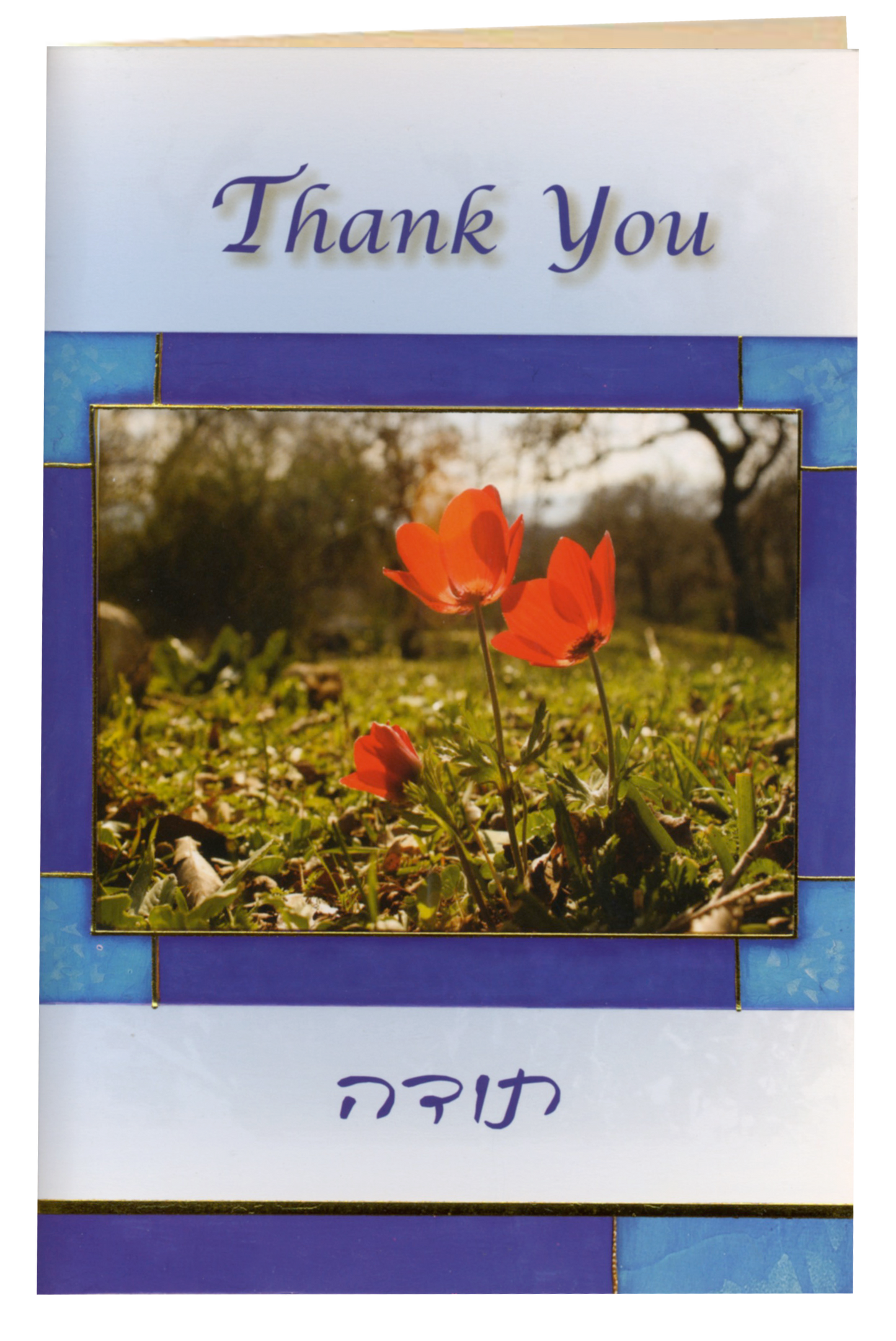 Thank you Galatians 6:10 - 6 Pack