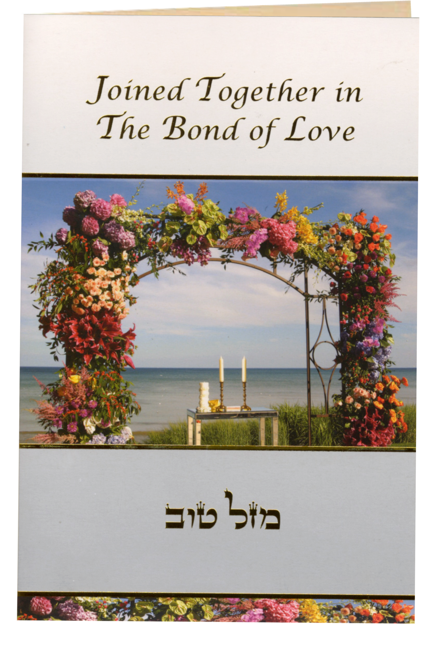 Joined Together in the Bond of - 6 Pack