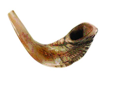 Shofar 15" - 17" Straight Neck