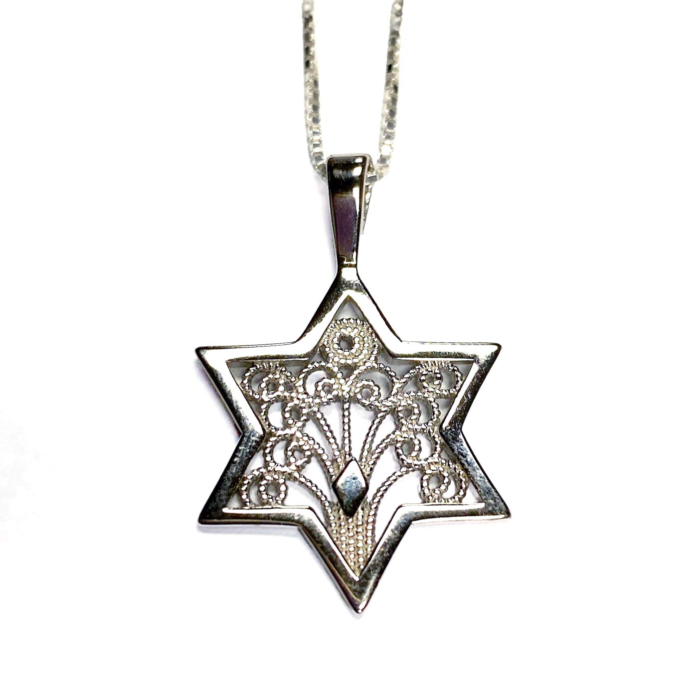 Star of David / Tree of Life Necklace