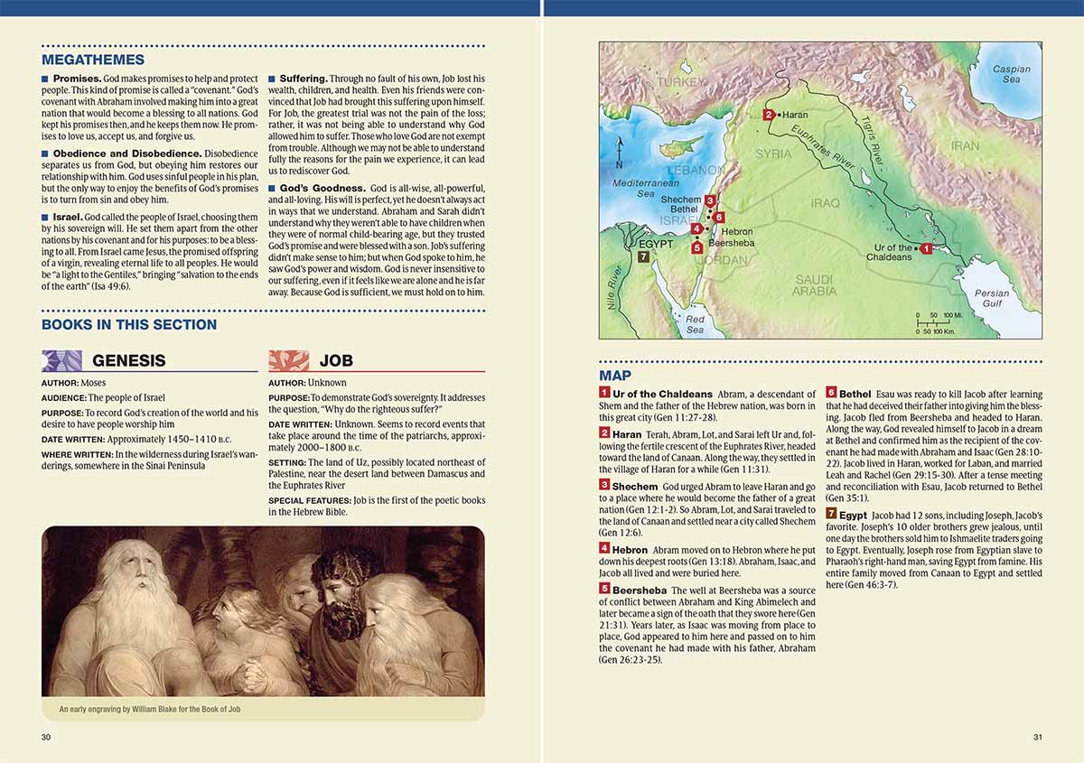 Chronological Life Application Study Bible