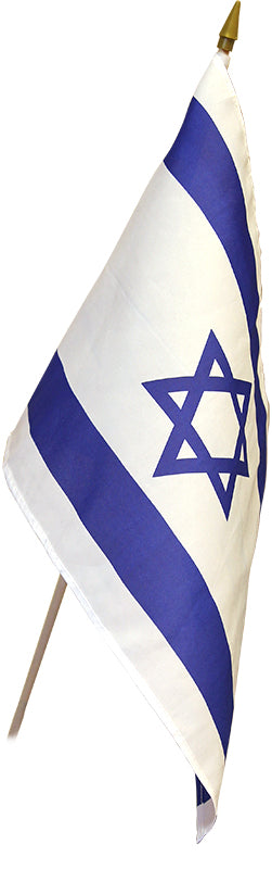 Large Handheld Flag