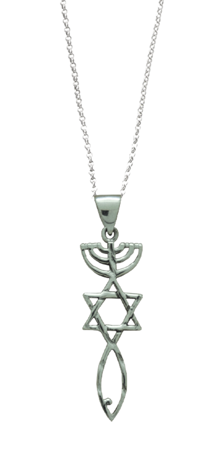 Hammered Grafted in necklace -Sterling Silver – Jews for Jesus Store